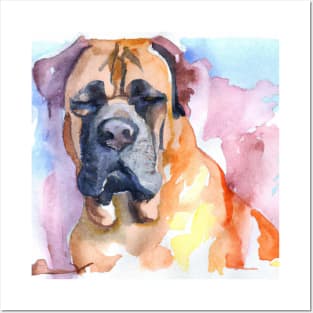 Boerboel Watercolor - Dog Lovers Posters and Art